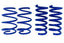 2015-2026 Mustang GT Steeda Drag Springs - Linear