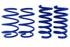 2015-2026 Mustang GT Steeda Drag Springs - Linear