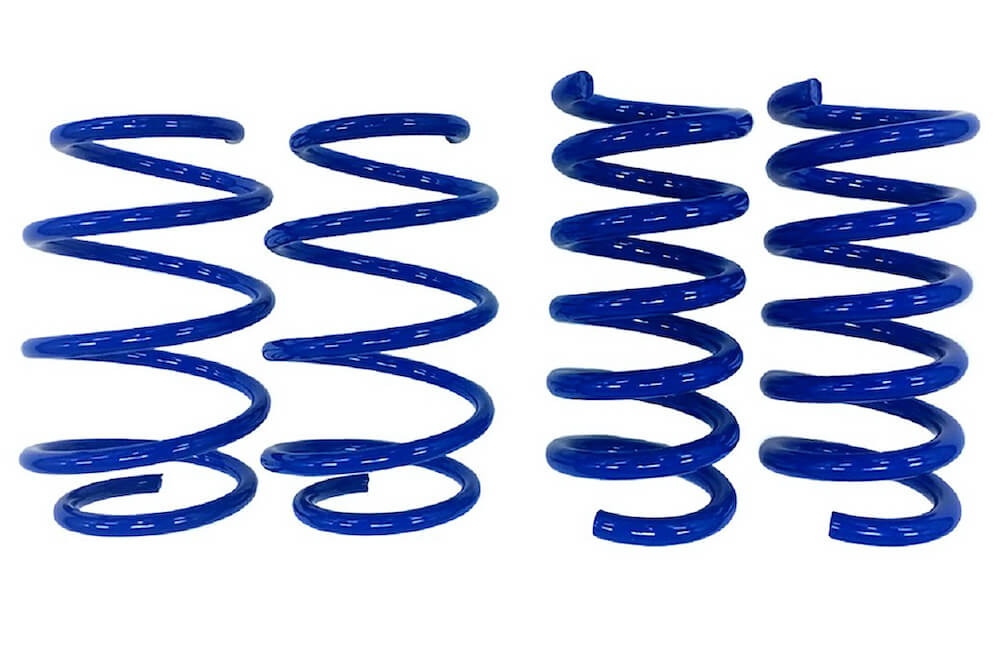 2015-2026 Mustang GT Steeda Drag Springs - Linear