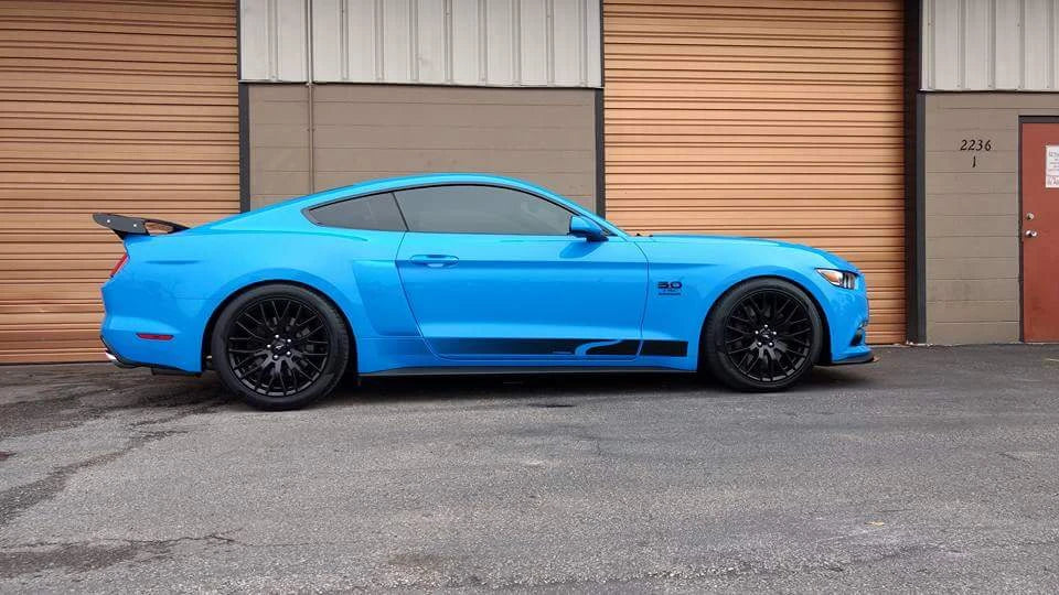 2015-2026 Mustang Steeda Sport Lowering Springs - Progressive
